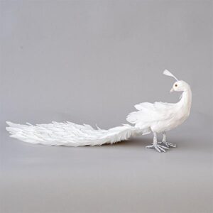 Pallua i Bardhë me Pupla me Shkëlqim