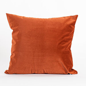 Jastëk Velvet Ngjyrë Bakri