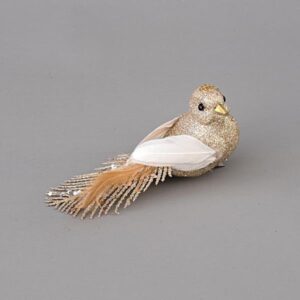 Zog Shamapanjë me Pupla dhe Shkëlqim